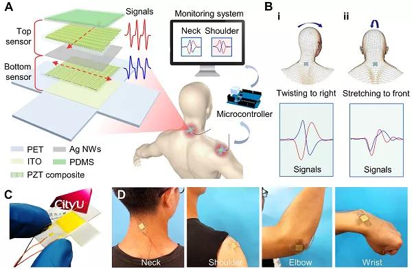香港城大楊征保課題組Science子刊：一種新型柔性壓電陶瓷剪紙，用于預防關節(jié)疾病